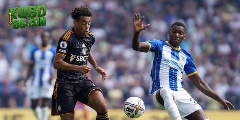 Phong độ thực tại của Brighton vs Leeds United